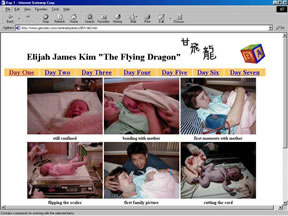 My Flying Dragon!